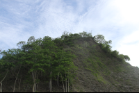        Clifftop Chora Island
  - Costa Rica