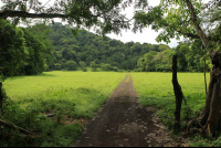        discovery horseback tour pasture 
  - Costa Rica