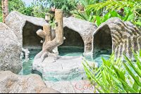        Los Lagos Hot Springs Cave Shaped Cement Pool
  - Costa Rica