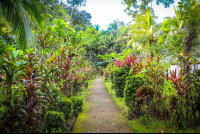        Manglares Hotel Pathways
  - Costa Rica