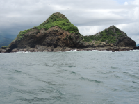        ballena marine national park whale island 
  - Costa Rica