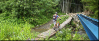        bamboo forest moutain bike tour bridge 
  - Costa Rica