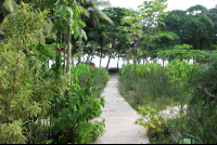        Beach Access
  - Costa Rica