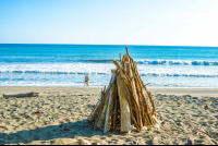        Wood Ready For A Night Fire At Carate Beach
  - Costa Rica