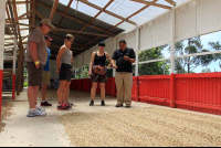        helaconia ranch learning about coffee 
  - Costa Rica