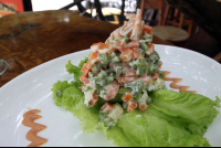        treehouse avocado mayo mess 
  - Costa Rica