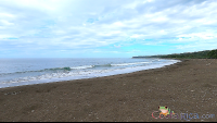        atv nosara tour ostional black beach sands
  - Costa Rica