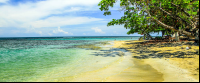        sb pv p beaches playa chino coastal almonds 
  - Costa Rica