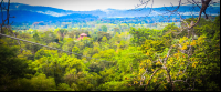        View From Last Platform Osa Palmas Canopy Tour
  - Costa Rica