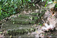        trail with some steps at arenal volcano  eruption site lookout point
  - Costa Rica