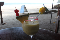        Pina Colada On Beach Elancla
  - Costa Rica
