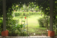        garden entrance sol samara 
  - Costa Rica