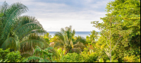        View From Finca Exotica Restaurant
  - Costa Rica