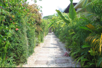        pathway hotel nautilius santa teresa 
  - Costa Rica