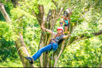        Young Lady Zip Linging From A Tree Platform Tizati Zip Line Rincon De La Vieja
  - Costa Rica