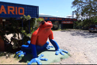        frog pond facade 
  - Costa Rica