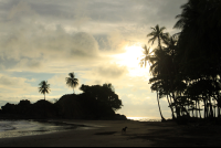        dominicalito attraction sunset 
  - Costa Rica