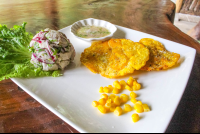        Peruvian Ceviche Casa El Tortugo
  - Costa Rica