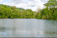        Rio Claro Rivermouth Corcovado National Park
  - Costa Rica