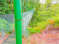        suspension bridge corcovado canopy tour 
  - Costa Rica