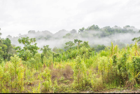        Mountain Ridge Of Los Patos Ranger Station
  - Costa Rica