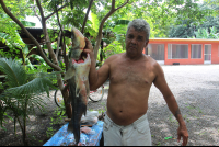        alexis with seabass 
  - Costa Rica