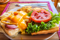        Grilled Fish Sandwich Agua Dulce Resort
  - Costa Rica