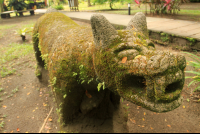        turtle beach lodge statue 
  - Costa Rica