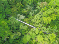        Arenal Hanging Bridges Mistico Park Main Bridge Aerial View
  - Costa Rica