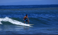        jaco surf lesson surfing 
  - Costa Rica