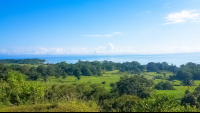        View From The Top Of Rancho Tropical
  - Costa Rica