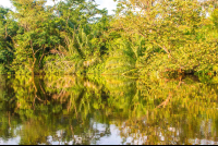        Sunset Reflexions On The Canal
  - Costa Rica