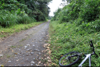        arenal mountain bike 
  - Costa Rica