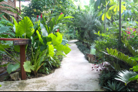        Hotel Pathways
  - Costa Rica