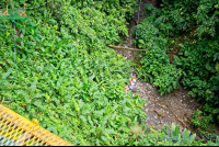        A Lady At The Bottom Of The Canyon In The Tarzan Swing Los Canones Canopy Tour La Fortuna
  - Costa Rica