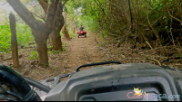        atv nosara tour fenced trail with low tree branches
  - Costa Rica