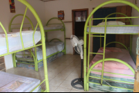        bunk bed shared rooms casa del mar hostel 
  - Costa Rica