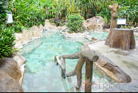        Los Lagos Hot Springs Hottest Cement Pool
  - Costa Rica