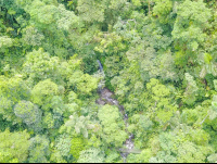        Creek Aerial View Inside Arenal Hanging Bridges Mistico Park
  - Costa Rica
