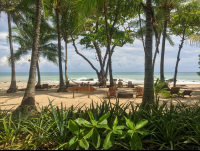        Beach Front
  - Costa Rica