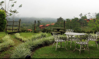        arenal palace view from restaurant 
  - Costa Rica