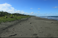        playa grande sand 
  - Costa Rica