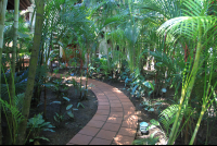        villas liro garden 
  - Costa Rica