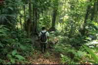        kekoldi reserve attraction group 
  - Costa Rica