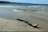        playa blanca log 
  - Costa Rica
