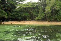        caribbean adventure snorkeling dolphin watching secluded beach 
  - Costa Rica