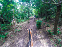        Last Forest Segment Horseback Riding Rincon De La Vieja
  - Costa Rica