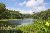        placid los patos lagoon eye level view at arenal volcano  eruption site lookout point
  - Costa Rica