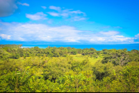        View Of Golfo Dulce From Rancho Tropical
  - Costa Rica