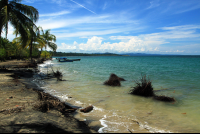       gandoca manzanillo wildlife refuge manzanillo coast 
  - Costa Rica